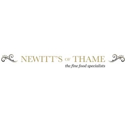 logo newitts.jpg